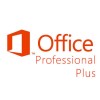 OFFICE PROFESSIONAL PLUS 2013 N License only