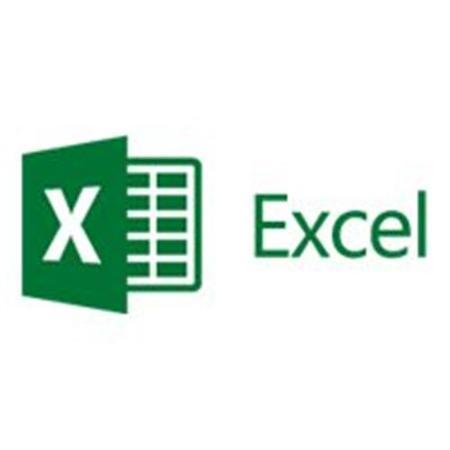Microsoft Excel 2016 Sngl OLP 1 License NL