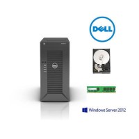 Dell T20 PowerEdge Small business server for up to 25 users For file sharing 
