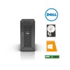 Dell T20 PowerEdge Small business server for up to 15 users for file sharing 