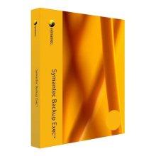 Symantec Backup Exec 2010 Agent for Windows Systems with 1 Year Basic Maintenance Licence - Volume - 1 Server - PC_ 