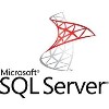 MicrosoftSQLServerStandardEdition AllLng License/SoftwareAssurancePack Academic OLV 1License LevelE AdditionalProduct 1Year 