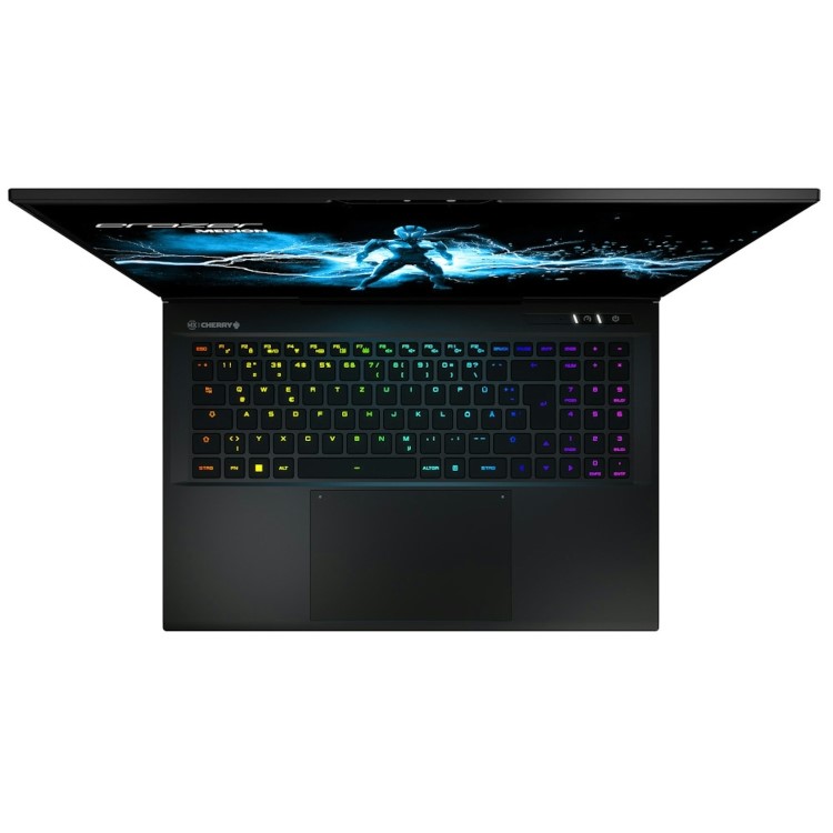 Refurbished Medion ERAZER Beast X40 Intel Core i9 32GB RAM 1TB SSD Geforce RTX 4080 240Hz 17 Inch Windows 11 Laptop - 1 Year Warranty