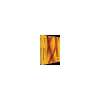 Symantec EndPoint protection small Business Edition 12 - 1 per user Basic 12 months Express