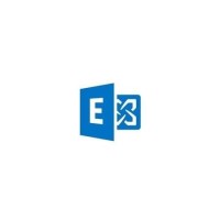 Microsoft Exchange Server Enterprise 2019 Single OLP 1 License No Level