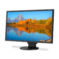 NEC EA243WM MultiSync BK 24" LED 1920X1200 Black Monitor
