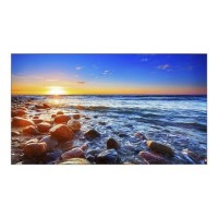 NEC UN551S 55" Full HD Videowall Large Format Display