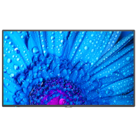 NEC M551 55" 4K UHD Large Format Display
