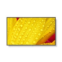 NEC ME551 55" 4K UHD Large Format Display