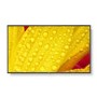 NEC ME551 55" 4K UHD Large Format Display