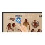 BenQ RM7501K 75" 4K Ultra HD Interactive Large Format Display