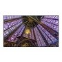 Refurbished Samsung QH65H 65" 4K UHD Digital Signage Display