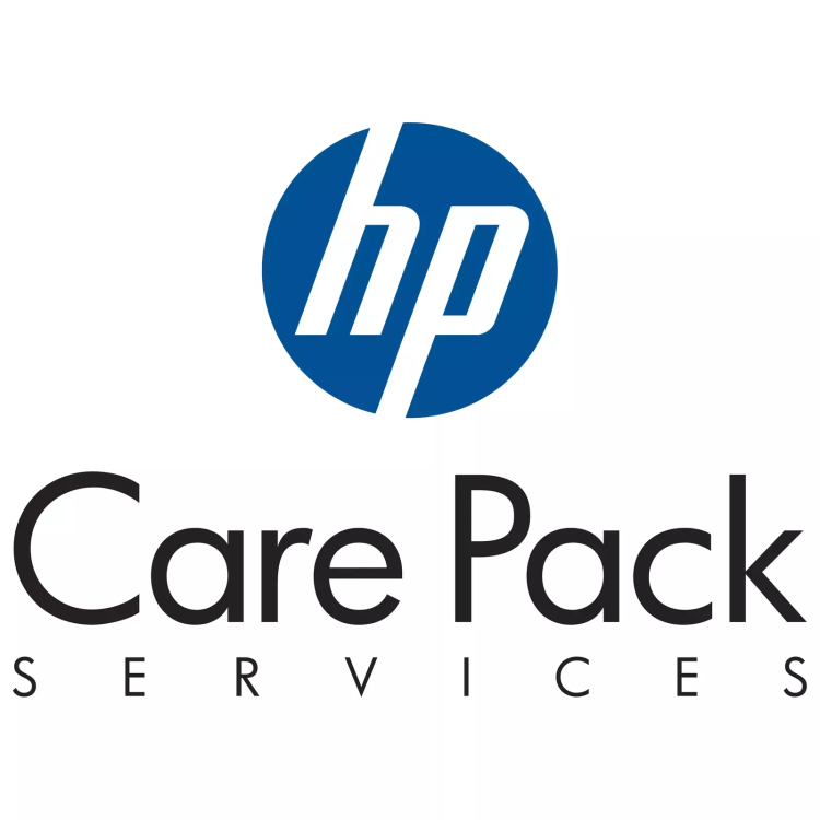 HPE Extra Large Standard Delivery-Door/Dock Service