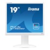 Iiyama ProLite B1980SD-W1 19&quot; HD Ready Monitor