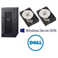 DEll T30 with Extra 1TB HDD Windows Server 2016 & warranty Upgrade from 1yr to 3yr NBD Bundle