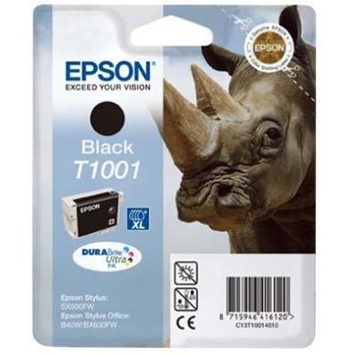 Epson T1001 - print cartridge