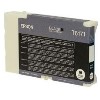 Epson T6171 - print cartridge