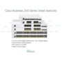 Bus 250 SmtSwitch 8p GE Desktop Ext PSU
