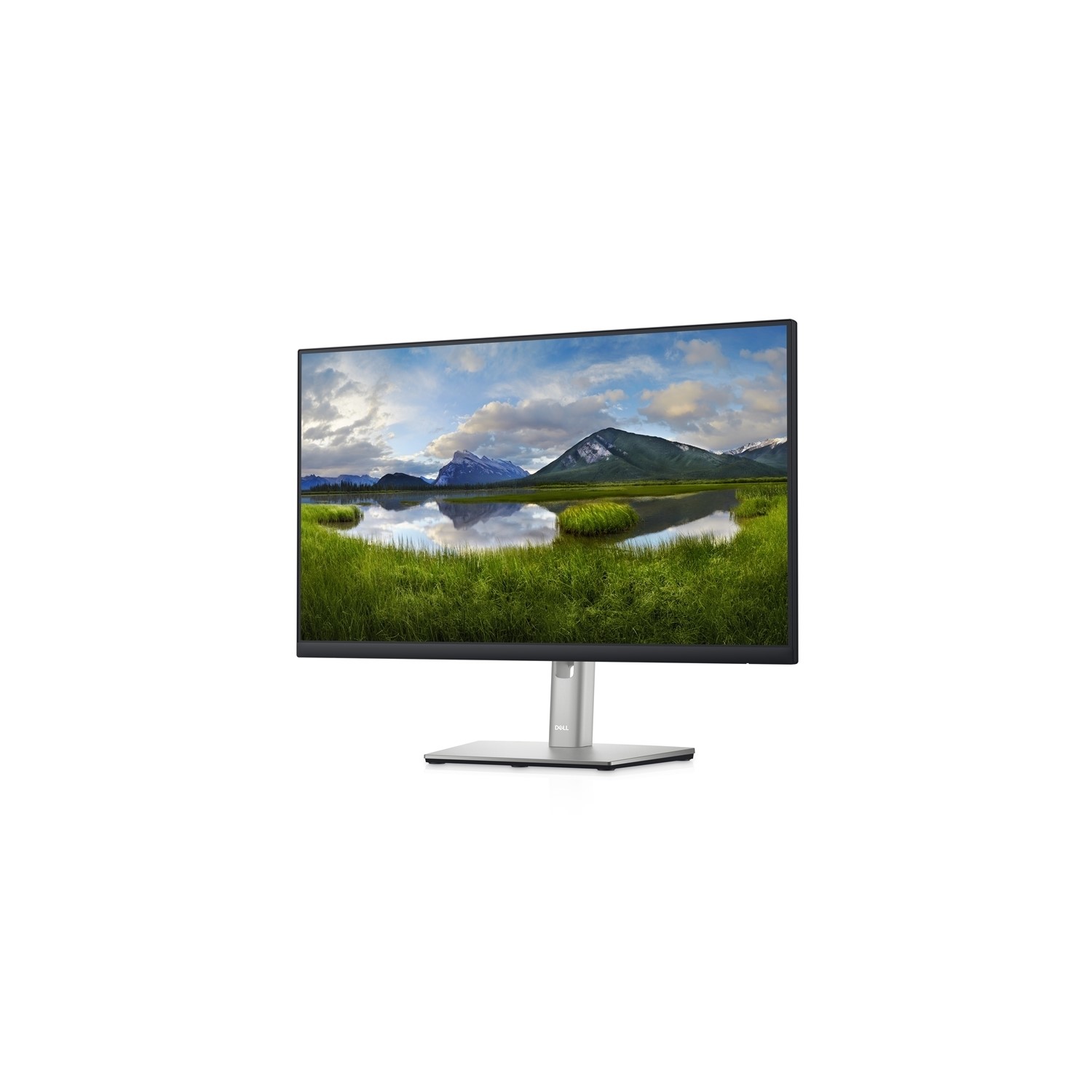 Dell P2422HE 23.8