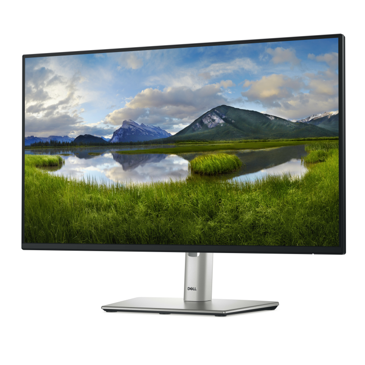 Dell P2425HE 24" IPS Full HD USB-C Monitor