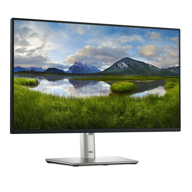 Dell P2425HE 24" IPS Full HD USB-C Monitor