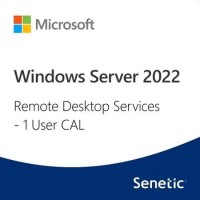 Windows Remote Desktop Server CAL 2022