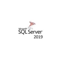 MICROSOFT SQL Server 2019 - 1 User CAL