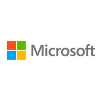 MICROSOFT Windows Server 2025 Remote Desktop Services - 1 User CAL