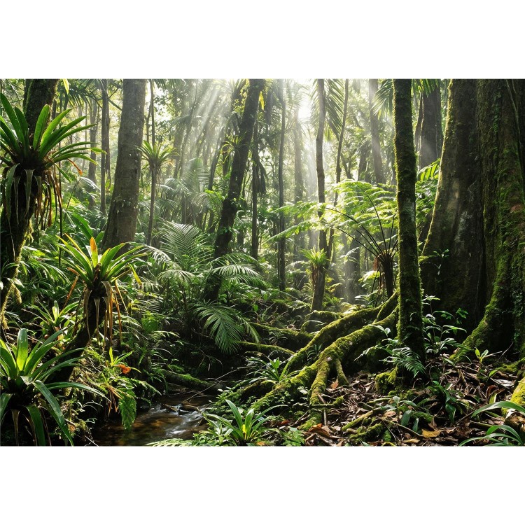 HP ProBook 4 G2i 14 AI PC Intel Core 7 350 Laptop