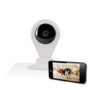 Wireless Wi-Fi Pet & Security Camera with Two-Way Talk Functionality