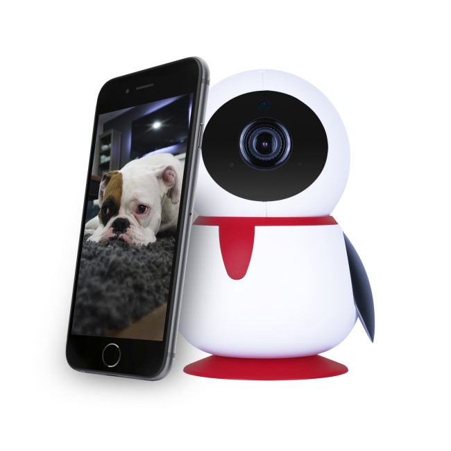 electriQ HD 1080p Wifi Pet Camera with 2-way audio & dedicated App