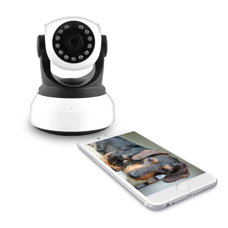 Wifi Pet Monitoring Camera with Audio