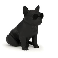 Jarre AeroBull XS1 Matt Black Bluetooth Speaker