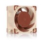 Noctua NF-A4x20 FLX 40mm x 20mm 3-pin Fan