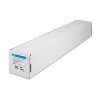HP Professional Satin Photo Paper - satin photo paper - 1 roll(s)