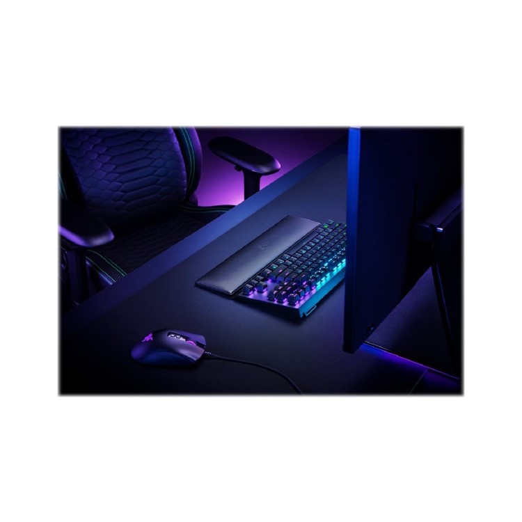 Razer Standard Edition - Wrist Rest - Tenkeyless
