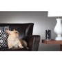 Piper HD Security Camera in Black
