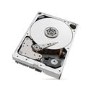 Seagate IronWolf Pro 10TB SATA 6 Gb/s 3.5 Inch Internal Hard Drive