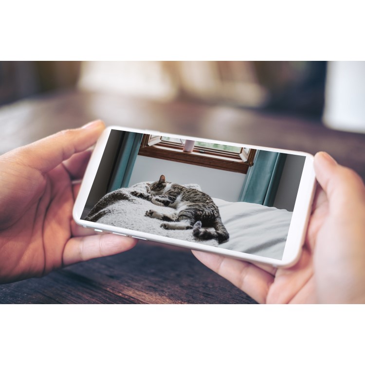 Swann 1080p Alert Indoor Security Camera