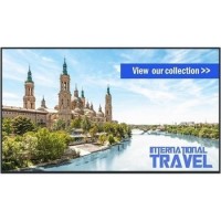Panasonic TH-65SF2E 65" Full HD Large Format Display