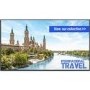 Panasonic TH-65SF2E 65" Full HD Large Format Display