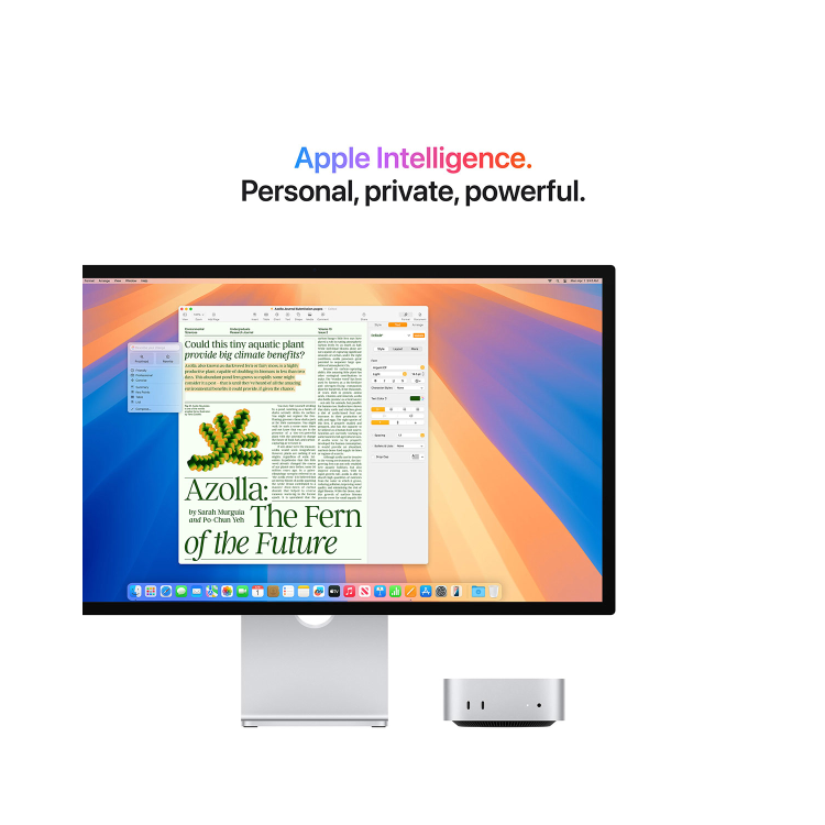 Apple Mac mini M4 32GB RAM 256GB SSD 10-Core GPU - Silver