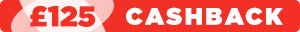 SD - fujitsu cashback 125 search page banner