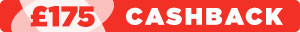 SD - fujitsu cashback 175 search page banner