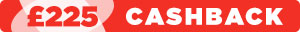 SD - fujitsu cashback 225 search page banner